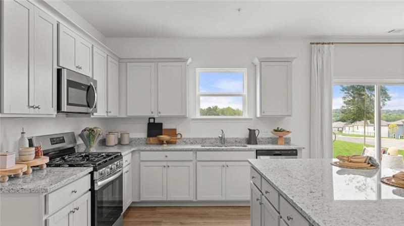 Well-appointed kitchen featuring light-toned cabinetry, stainless steel appliances, granite-style countertops, and wood-finish flooring