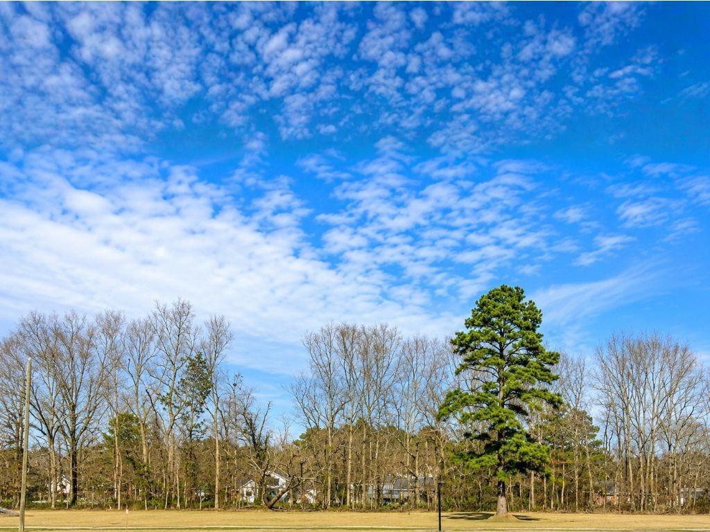 44068 MARY SINGLETARY Road